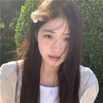 紫苑草