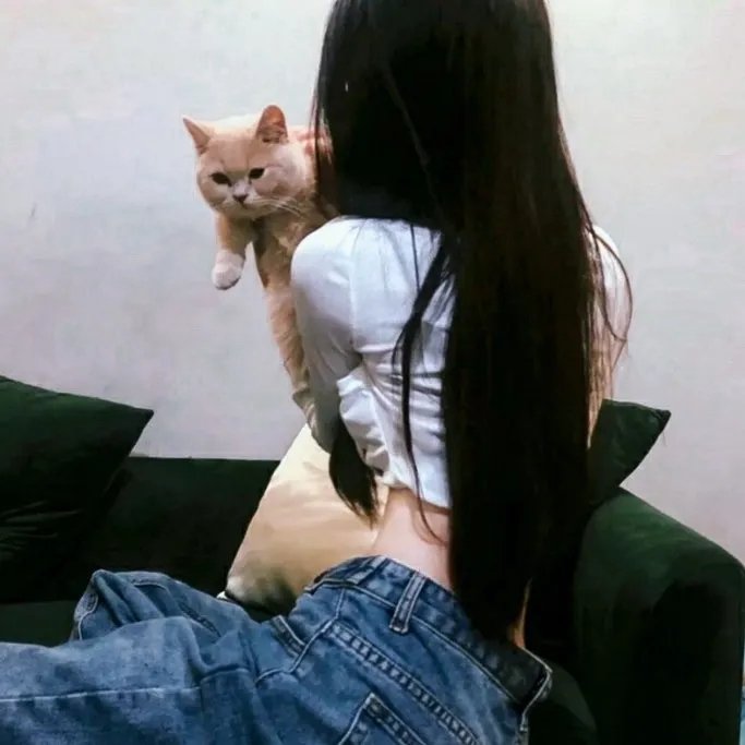 小楼金晓